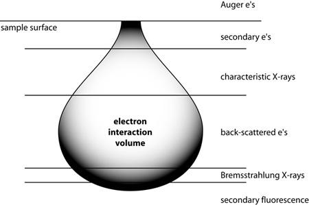 Backscattered Electrons) dávající informaci o chemickém složení, charakteristické rentgenové záření, viditelné světlo (katodo-luminiscenci) a teplo.