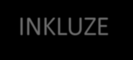 Intervence INKLUZE vymezení tématu Inkluzivní vzdělávání vychází z požadavku přizpůsobení edukačního prostředí žákům.