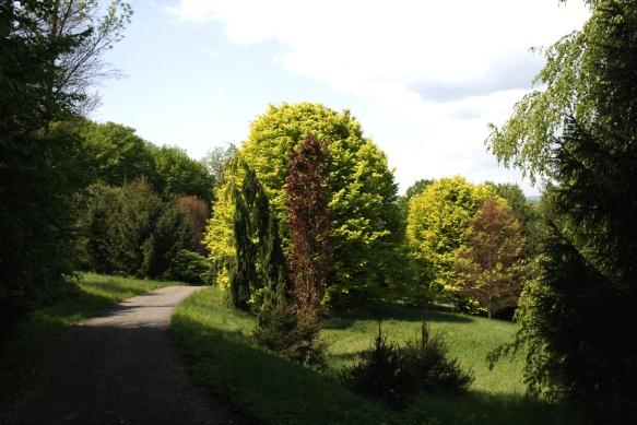 Letná škola archeológie: - s podporou