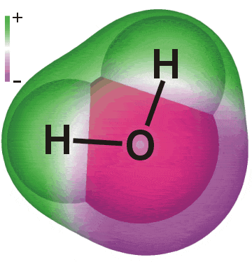 1. Teorie 1.1. Voda 1.1.1. Struktura molekuly vody Molekula vody je složena ze dvou atomů vodíku a jednoho atomu kyslíku.
