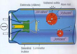 ZÁŘIVKA Hlavní část zářivky se skládá ze zářivkové trubice, v níž jsou páry rtuti a argon. Na obou koncích se nacházejí patice s kovovými elektrodami.
