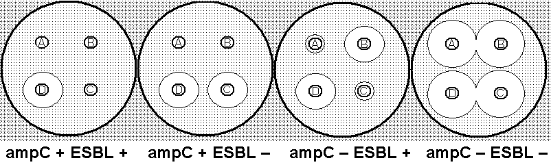 Úkol 8: Detekce širokospektrých betalaktamáz (ESBL) a ampc betalaktamáz pomocí ABCD testu V dnešní době nejsou klasické betalaktamázy ESBL jedinými důležitými betalaktamázami.