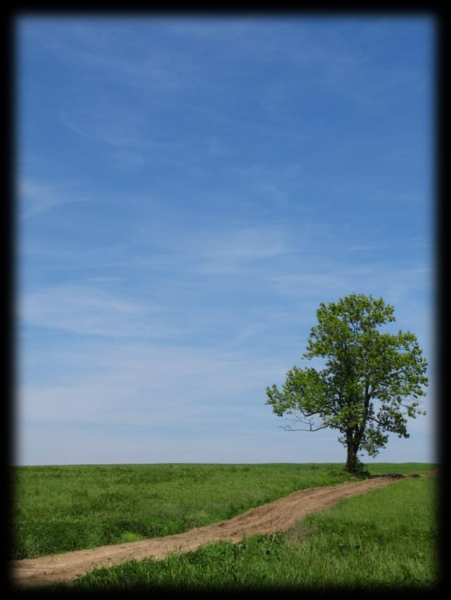 á stezka o.p.s. Královská stezka o.p.s.