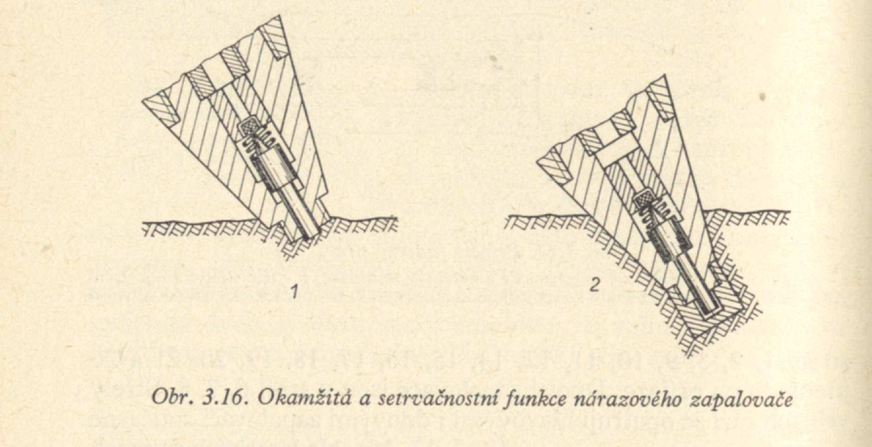 Specifikace druhů