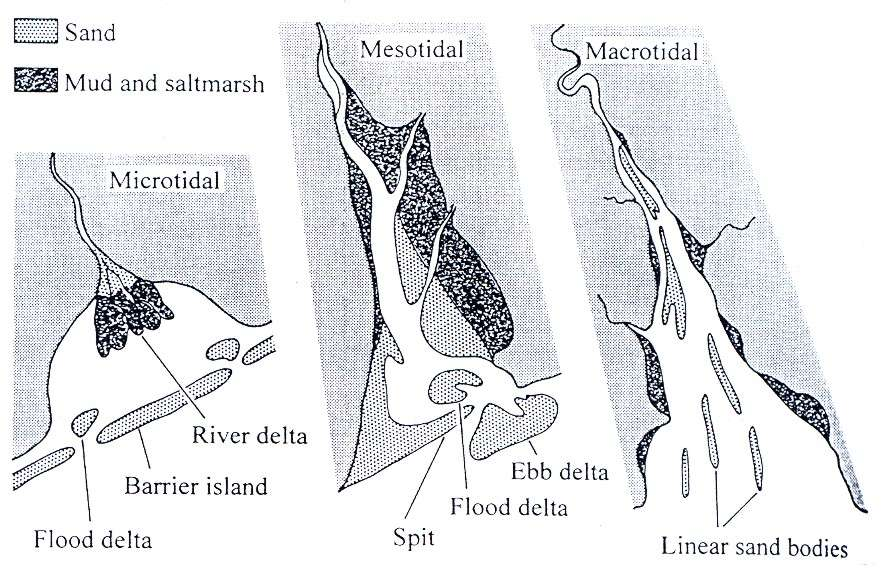 Depozice sedimentu v estuáriích Mikrotidální e. (microtidal estuaries) - rozpětí slapů menší než 2 m Mesotidální e.