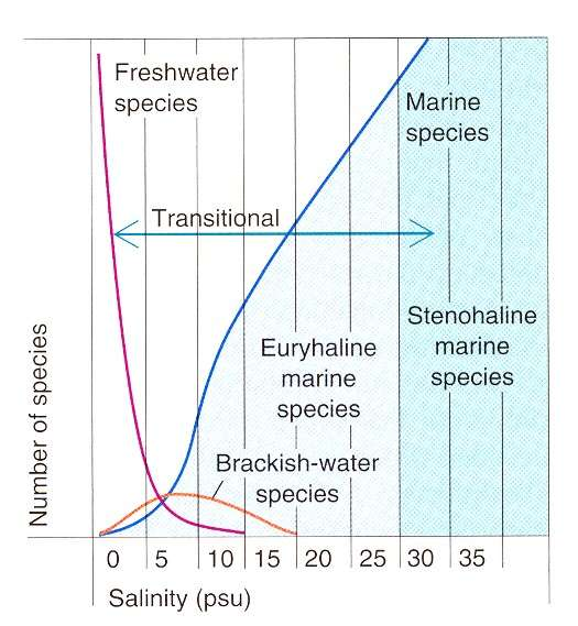 3 typy fauny v estuáriích: Marinní - stenohalinní - euryhalinní Sladkovodní