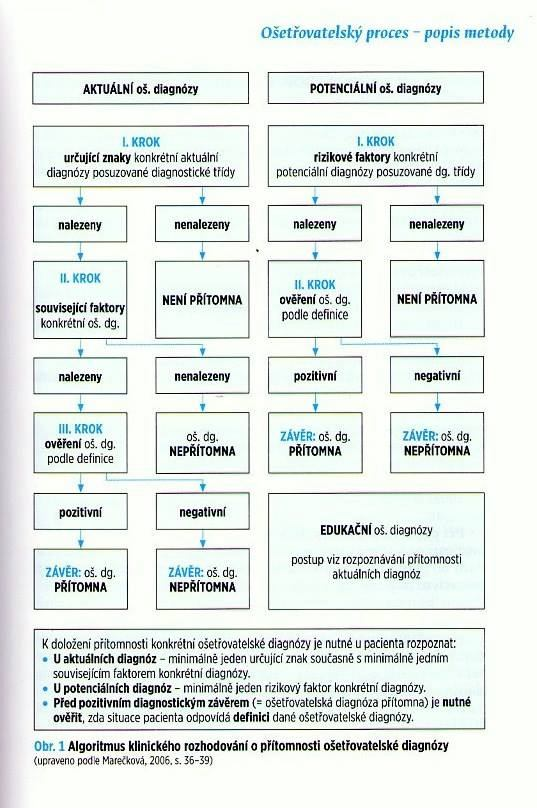 potenciální diagnózy této třídy. V případě, že je podezření na jinou možnou diagnózu, opět zahajujeme první krok od začátku v další doméně nebo třídě. Krok II.