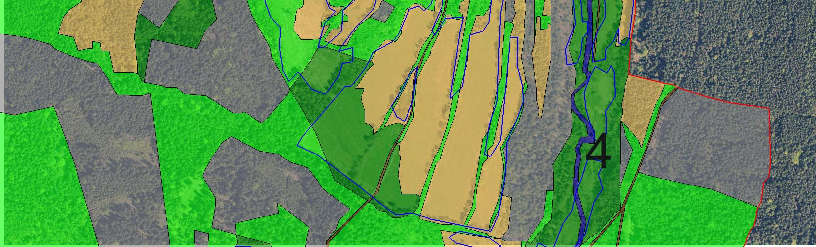 1 - původní lesní porosty; 2 - nově vzniklé lesní porosty na dřívější nelesní půdě (pastviny, tmavě zeleně jsou znázorněny též lesy na bývalých lukách); 3 - liniové porosty dřevin většinou sledují