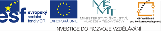 Registrační číslo: CZ.1.07/2.2.00/15.0313.