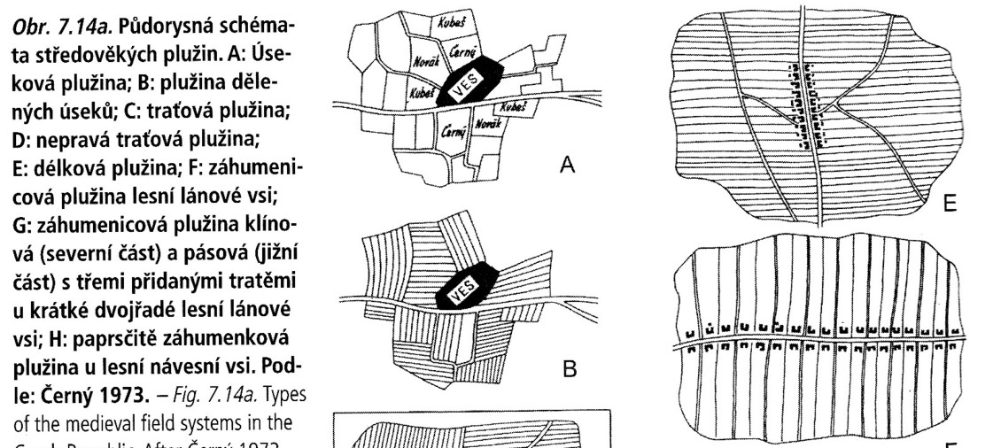 Středověká plužina PLUŽINY jsou nedílnou součástí extravilánu vsí, charakterizují jejich hospodářské zázemí v naší krajině je možné sledovat systémy plužin vzniklý ve vrcholném středověku, které jsou