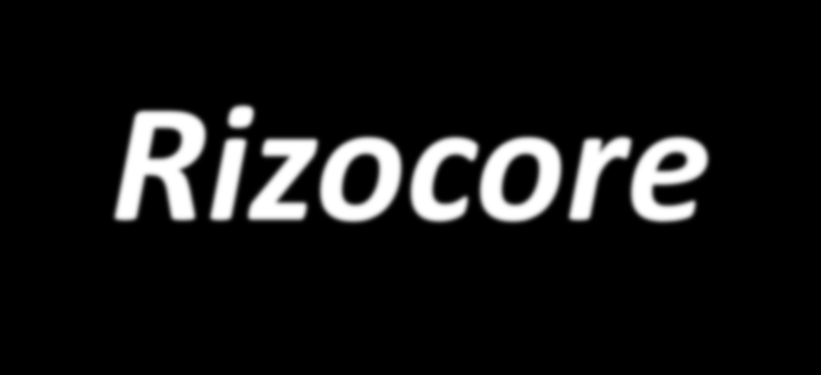 Rizocore