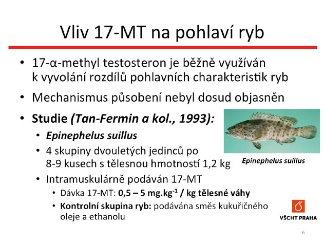 Vliv 17-α-methyl testosteronu na pohlavní změny u ryb Bc. Simona Lencová V současné době roste trend konzumace ryb v běžné stravě.