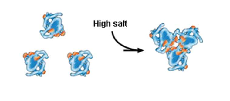 vliv soli na protein Stacionární