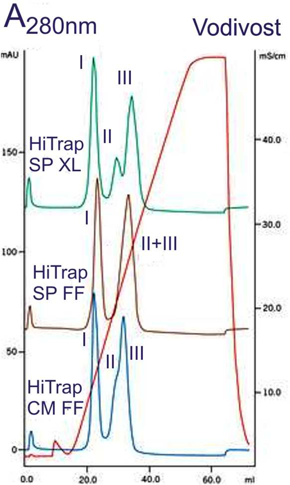 X-Sepharosa Sepharose High Performance (34 µm), Sepharose Fast Flow (90 µm), Sepharose Big Beads (100 300 µm), Sepharose CL-6B (90 µm, lepší chemická a fyzikální stabilita) Vzorek: 0,8 mg cytochrom C