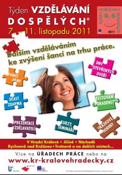 Co se týče činnosti účastnic a účastníků, vyrovnaně byly zastoupeny skupiny nezaměstnaných, zaměstnanců i studentů. Nejméně početně zastoupenou skupinou byly osoby samostatně výdělečně činné.