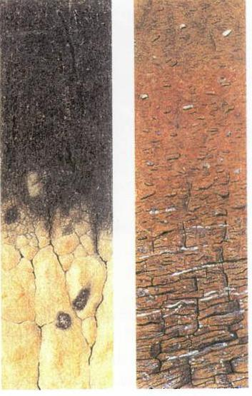 horizonty (Šimek, 2005). Toto horizontální vrstvení můžeme rozpoznat tehdy, pozorujeme-li půdu v čerstvě vykopané stavební jámě. Půdní profil (obr. 3) je sled půdních horizontů (Bergstedt, 2005).