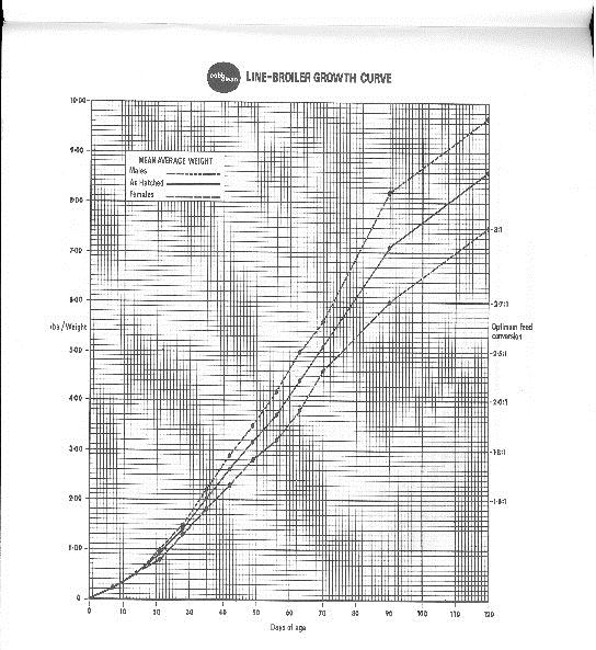 performance supplement 2012 Rok