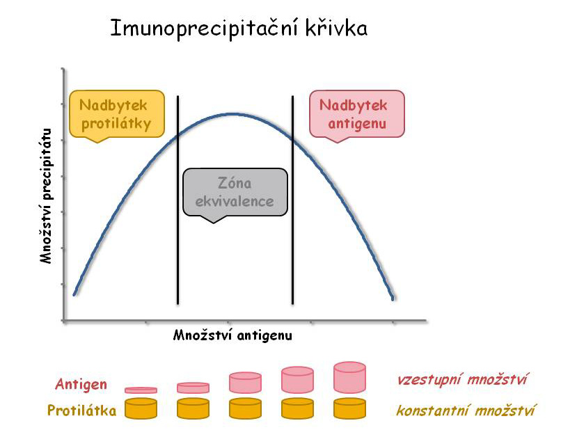 Úloha 1 Imunoprecipitační křivka lidského albuminu a stanovení koncentrace albuminu imunoturbidimetricky Princip: Imunoprecipitační křivka vyjadřuje množství vytvořeného imunoprecipitátu při různém