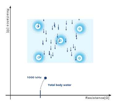 Měření celkového obsahu vody (TBW) vysoké