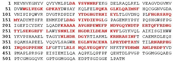 5.2.3 Podrobné informace o proteinech identifikovaných pomocí AC následované SDS-PAGE Jak ukazují tabulky 4 a 5 (kap. 5.1.2.) a 8 a 9 (kap. 5.2.2.), některé proteiny byly nalezeny na 1D i 2D-gelech a u 1D-GE byla řada z nich identifikována v původním extraktu i jemu odpovídající nezadržené frakci.