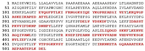 Protein isozym typu B alfa-amylasy: štěpí složky škrobu [45]. Je to právě tento isozym, jehož funkce je inhibována enzymem alfa-amylasa/subtilisin inhibitor.