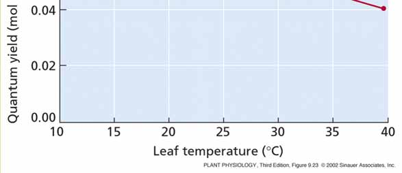 125 C3 rostliny se zvyšující se teplotou klesá, vliv