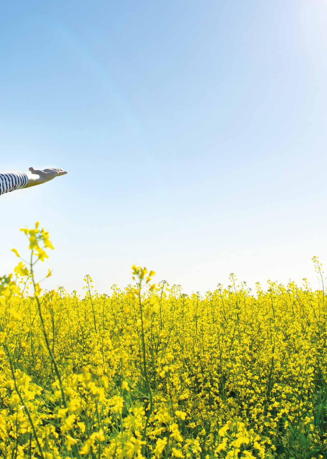 SOLÁRNE A FOTOVOLTAICKÉ SYSTÉMY So slnečnou energiou šetríte životné prostredie,