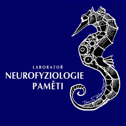 Metodika studia chování a paměti u
