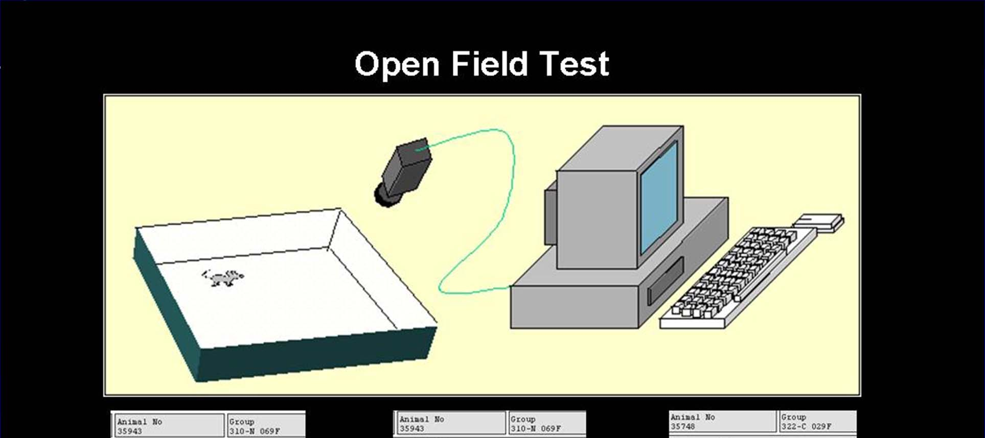 Test