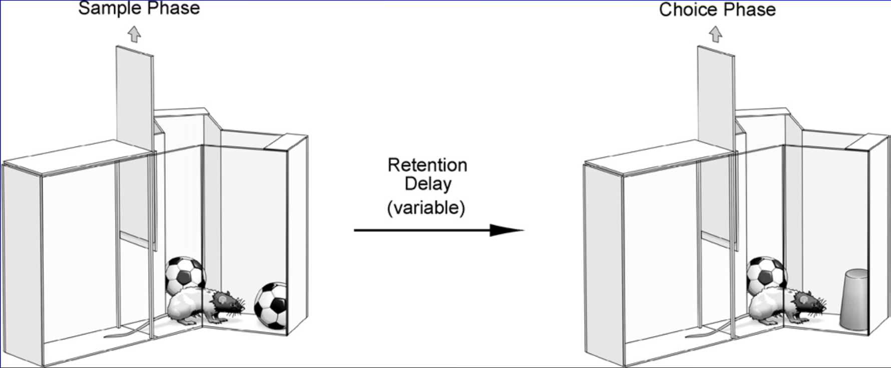 Úloha rozpoznávání objektu object recognition task