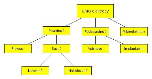 Obrázek 2 Rozdělení EMG elektrod Povrchové elektrody mají sumační charakter. To znamená, že zaznamenávají elektrický potenciál z celé skupiny svalových vláken.