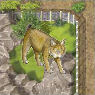 RYS (Luchs, Iberian Lynx) Vlastník výběhu s rysem může v posledním tahu, poté co si některý hráč vezme poslední transportní vůz, ještě než dojde k závěrečnému