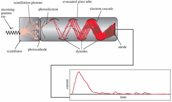 Jednofotonová tomografie (SPECT) Detektor: scintilátor