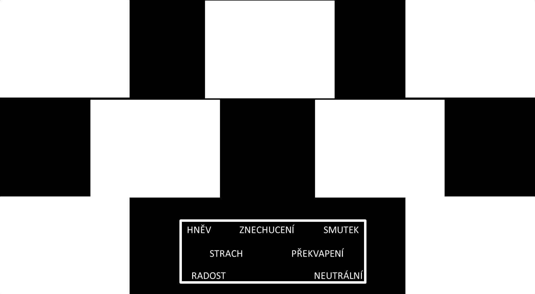 emocí Zdroj: autor, s