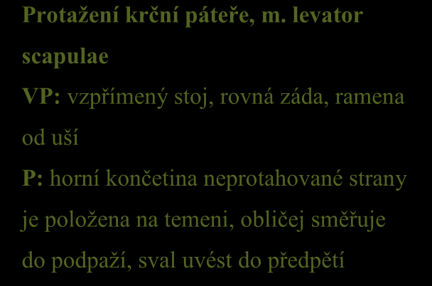 Předtím, než se začnete plně věnovat cvičení, byste měli svaly prohřát aktivním pohybem. Můžete zvolit formu dynamického strečinku, lehkého běhu, nebo jízdu na kole.