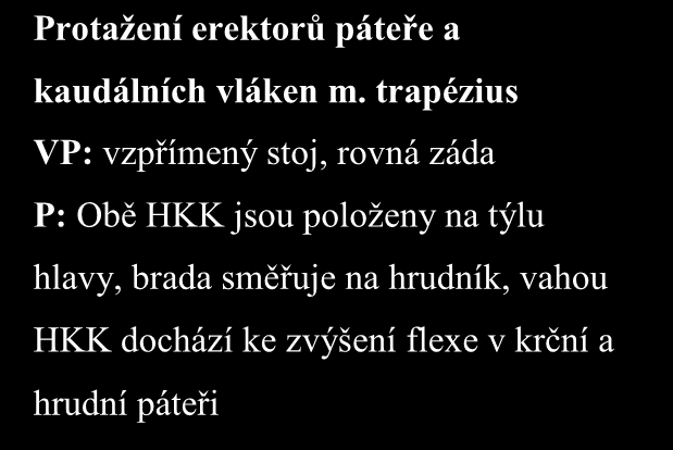 Protažení erektorů páteře a kaudálních vláken m.