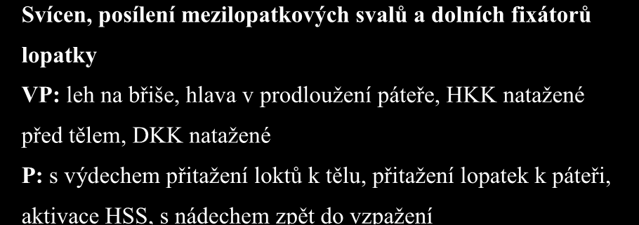 prodloužení páteře, lokty u těla, ruce