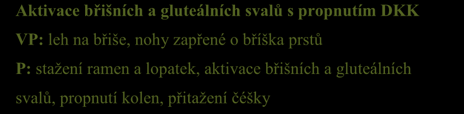 předloktí Posilován svalů lopatky VP: leh