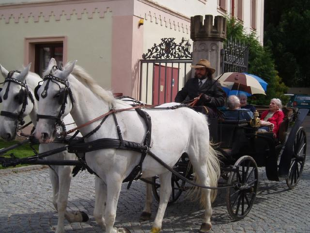 Úsměvy v kočáře Domov pro seniory v Pyšelích uspořádal dne 30. 8. 2012 pro své klienty projížďku v historickém kočáře taženým párem bílých koní.