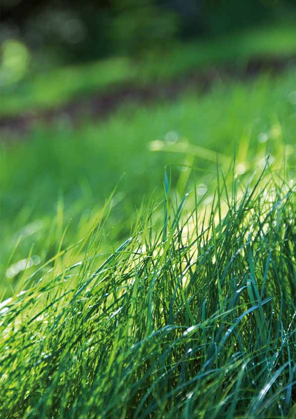 Vřetenová sekačka Péče o trávník Vřetenová sekačka Používáním vřetenové sekačky namísto rotační získáte zdravější, krásně zelený trávník díky tomu, že její nože stříhají stébla trávy čistě jako nůžky.