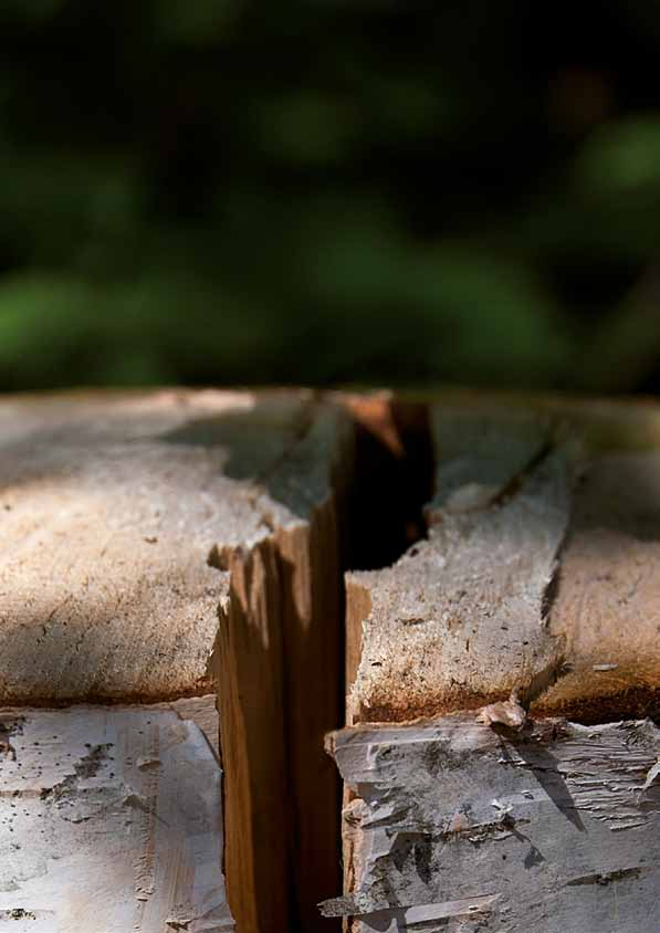 Zpracování dřeva Klíny Klíny Fiskars nabízí správný nástroj na jakoukoliv práci se dřevem.