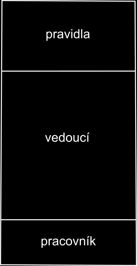 v pracovních předpisech, naopak vedoucí sekcí musí často jednat operativně, jejich rozhodnutí závisí na aktuální situaci a výrobních možnostech.