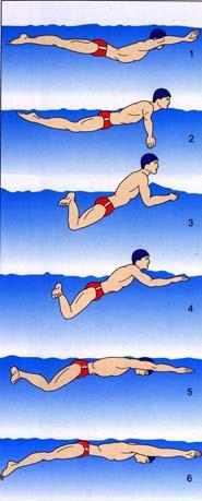 hladinou. V této fázi dochází k nádechu. Velmi důležitou fází pro plavecký způsob prsa je splývání. Jeho délka je úměrná délce tratě a pohybovým dovednostem plavce (Obr. č. 9). (Motyčka, 2001, s.