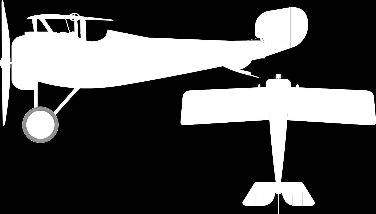 a pokrývají jedno kamuflážní schéma z období služby Nieuportů v carském ruském letectvu.