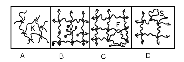 UTB ve Zlíně, Fakulta technologická 21 Zavedením příčných vazeb mezi makromolekuly konečné délky vznikne síť reálná. [23] Každý konec původní makromolekuly a jeho okolí vytvoří v hotové síti defekt.