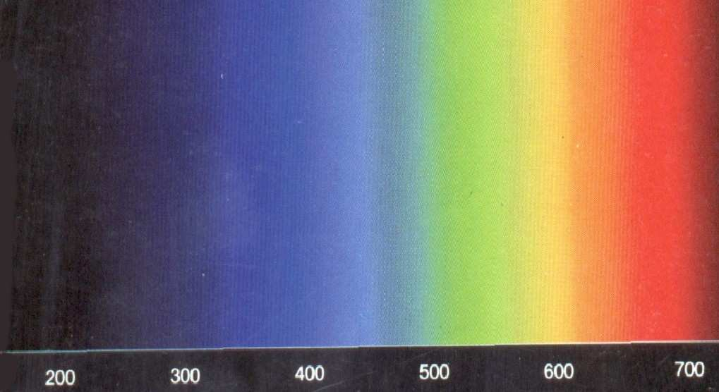 Sedm barev duhy a jejich vlnové délky Spojité světelné spektrum fialová 390-425 nm indigově modrá 425-445