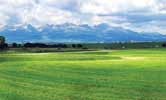 ID: 3025 18 /m2 Pozemok v obci Lorinčík 3 stavebné pozemky o výmere 660m 2, 750 m 2, 800 m 2, alebo v