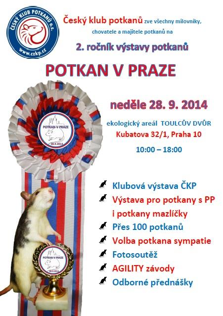 VEDLEJŠÍ KATEGORIE MAZLÍK Potkan variety dumbo 1.-3. místo Potkan variety standard 1.-3. Místo Potkan srst standard 1.-3. místo Potkan srst rex 1.