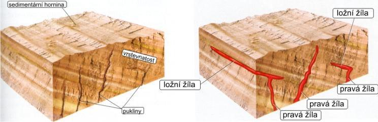 Tělesa podpovrchová utuhla v malé hloubce pod povrchem, nejčastěji v puklinách zemské kůry, patří k nim pravé a ložné žíly a lakolity Lakolit je menší hlubinné těleso, které má přibližně čočkovitý