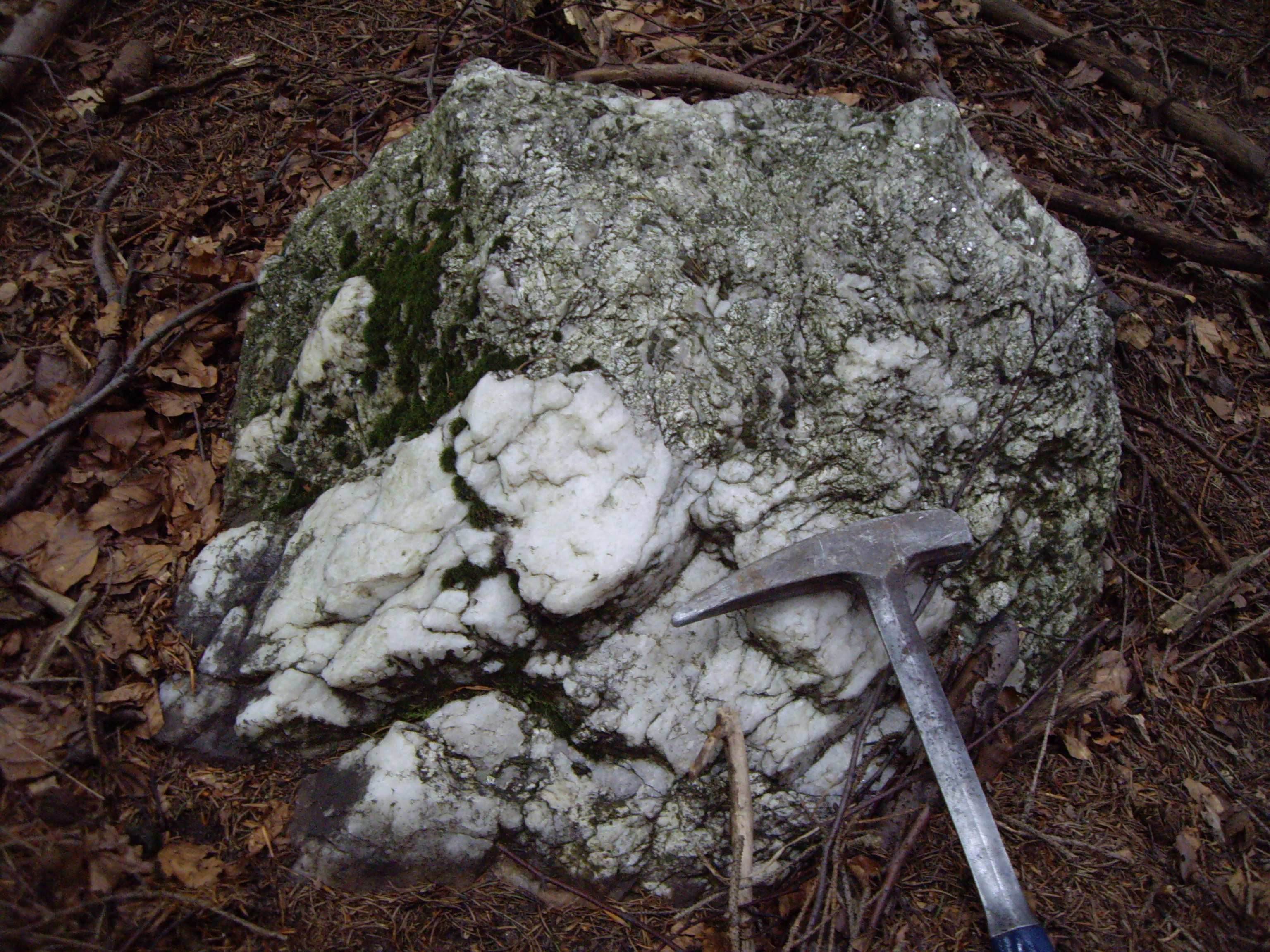 Obr. 11: Pegmatit s vyvinutou blokovou zónou na lokalitě č.12. Foto S. Vachová, červen 2012.